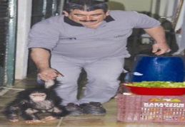 Annesinden yüz bulamayıncabakıcı amcalarının peşine takılıyor