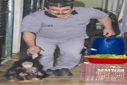 Annesinden yüz bulamayıncabakıcı amcalarının peşine takılıyor