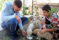 Annesiz iki yavru köpeğe sahip çıktılar