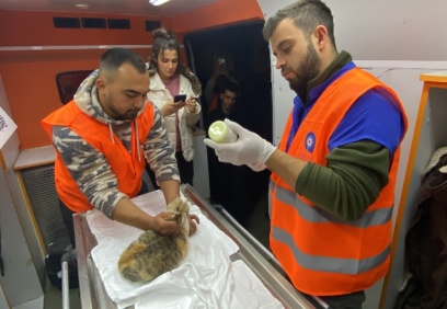 Antalya Büyükşehir veterinerleri hayvan sağlığı için Gaziantep’te