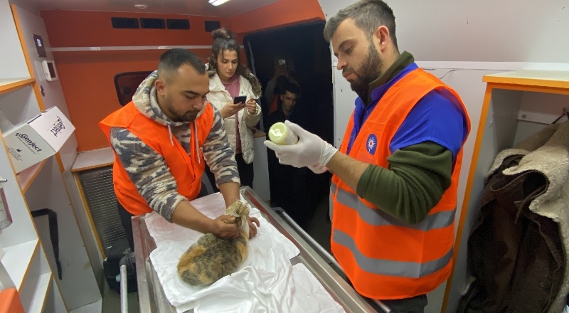 Antalya Büyükşehir veterinerleri hayvan sağlığı için Gaziantep’te