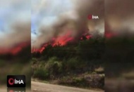 Antalya Manavgat'ta orman yangını