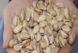 Antep fıstığı Tarım Havzaları Üretim ve Destekleme Modeli kapsamına alınacak