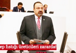 Antep fıstığı üreticileri zararda!