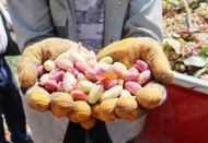 “Antep fıstığında taban fiyat belirlemeyi düşünüyor musunuz?”