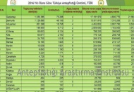Antep fıstığının en çok yetiştiği il Gaziantep, en verimli yer Diyarbakır 