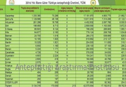 Antep fıstığının en çok yetiştiği il Gaziantep, en verimli yer Diyarbakır Sıralamada Şanlıurfa ikinci, Adıyaman üçüncü, 