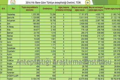 Antep fıstığının en çok yetiştiği il Gaziantep, en verimli yer Diyarbakır Sıralamada Şanlıurfa ikinci, Adıyaman üçüncü, 