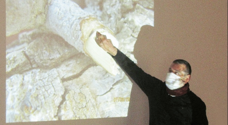 Antepfıstığı ağaçlarında yapılan budama artıkları imha edilmeli