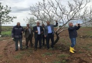 Antepfıstığı, arpa, buğday ve nohutta çok hasar var