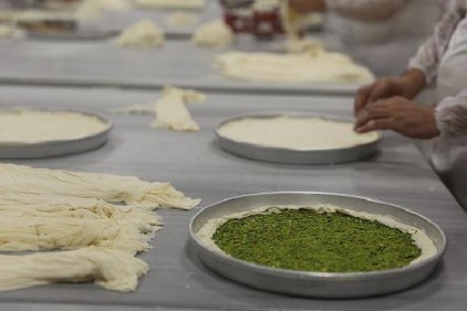 Antepfıstığı festivali başlıyor 