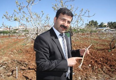 Antepfıstığı’nda “Karagöz Kurdu” tehlikesi