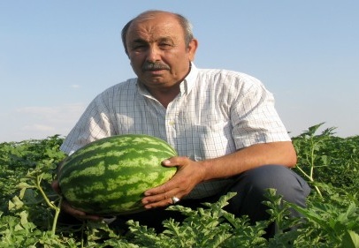“Araban Baklavası” pazara indi