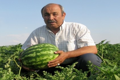 &#8220;Araban Baklavası&#8221; pazara indi