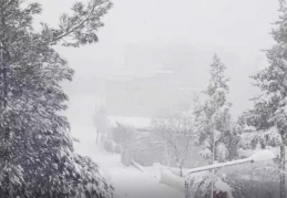 Araban ilçesinde 26 araç ve iş makinesi ile yol açma çalışması yapılıyor