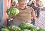 Araban Karpuzu tezgahlardaki yerini aldı
