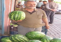 Araban Karpuzu tezgahlardaki yerini aldı