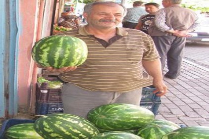 Araban Karpuzu tezgahlardaki yerini aldı