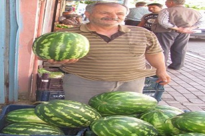Araban Karpuzu tezgahlardaki yerini aldı
