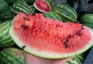 Araban karpuzu tezgahta yerini aldı