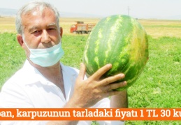 Araban, karpuzunun tarladaki fiyatı 1 TL 30 kuruş