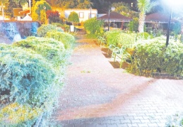 Araban Ovası'nda yağmur sevinci