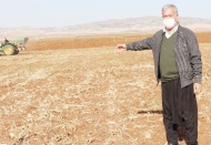 Araban Ovası’nda makarnalık sert buğday ekimine başlandı