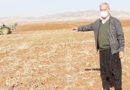 Araban Ovası’nda makarnalık sert buğday ekimine başlandı