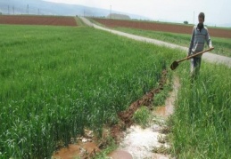 Araban Ovası'nda sondaj suyu ile sulama yapılıyor 
