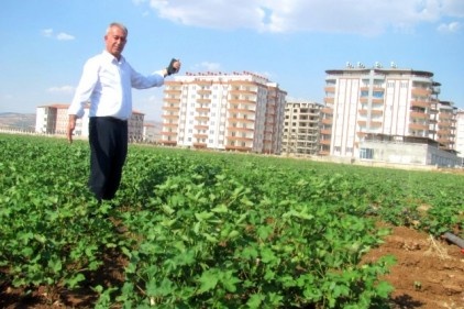 Araban Ovası&#8217;nın verimli toprakları betonlaşıyor 