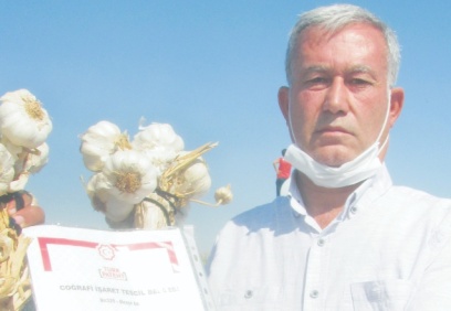 Araban, sarımsağın patentini aldı