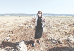 Araban, sarımsağının tescili için AB'ye başvuruldu