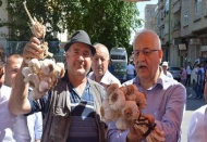 Araban sarımsağının ünü sınırları aştı