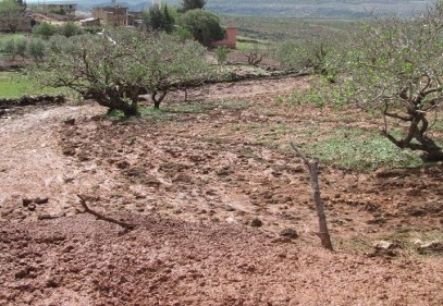 Araban ve Yavuzeli’nde yağan dolu ürünlere büyük hasar verdi