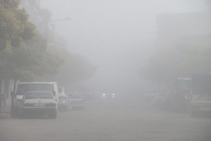 Araban&#8217;da etkili olan yoğun sis hayatı olumsuz etkiledi 