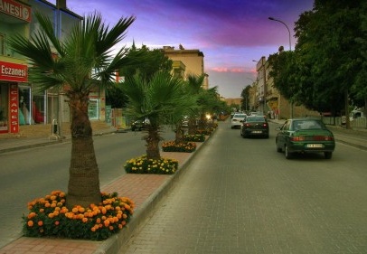 Araban’da fefüjler çiçeklendirildi