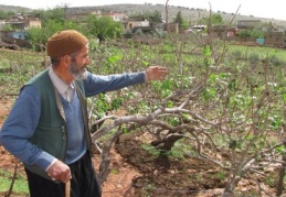 Arabanlı çiftçi, borçların ertelenmesinden memnun