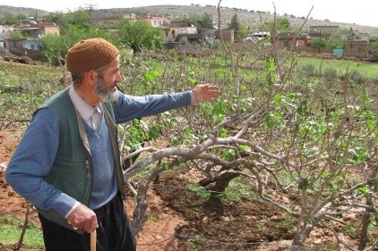 Arabanlı çiftçi, borçların ertelenmesinden memnun