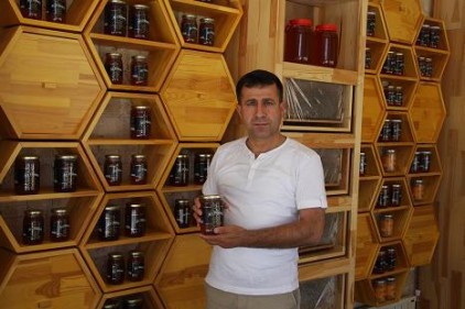 Arı ekolojik dengenin
temelini oluşturuyor