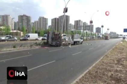 Arı kovanlarını taşıyan araç kaza yaptı, binlerce arı ortalığa savruldu