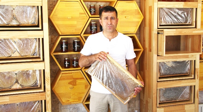 Zirai ilaçlar, tarlacı arıcılara zarar veriyor