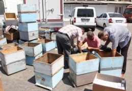 Arılar sigara üretmiş!