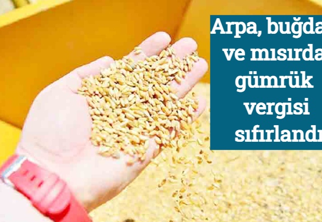 Arpa, buğday ve mısırda gümrük vergisi sıfırlandı