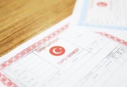 Arsa, tarla ve iş yeri satışları 1,5 milyon adedi aşarak rekor kırdı