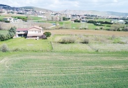 Arsaya talep artınca fiyatlar yüzde 35 yükseldi