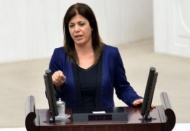 “Artan İşkence Vakaları” Meclis’e taşındı
