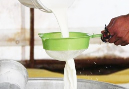 Artan maliyetle birlikte Türkiye Ziraat Odaları Birliği’nden çağrı: Süt fiyatı revize edilmeli