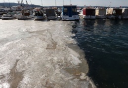 Artüz'den korkutan müsilaj açıklaması: "Berbat durumda"