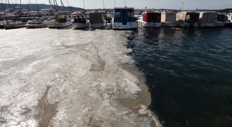 Artüz'den korkutan müsilaj açıklaması: "Berbat durumda"