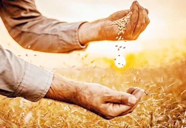 Arzdaki azalma gıda fiyatlarını arttıracak